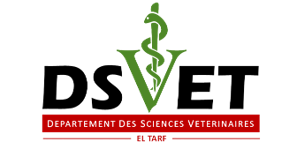 vetanatomy.gnomio.com